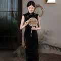 Velvet Slim Dress